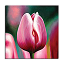 Extendi� La Pintura Al �leo Originales Florales - 6 Por Zhong Zhenqing 32 