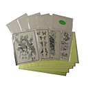 Livraison Gratuite 10 X Pratiques De Tatouage Et De Peaux De 100 X Papier Transfert