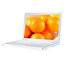 wholesale Netbook with 10.2”TFT / Intel Atom 1.6GHz CPU/1GB/160G HDD