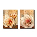 Estirada De 2 Pc Pintura Abstracta Hecha A Mano Set (0192-ycf102153)