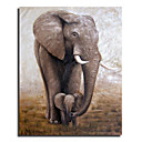 Mano Extendida Hace Pintura Abstracta De Los Animales - Env�o Gratis (0695-an-09)