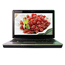 HASEE Laptop-14.0 Widescreen LED Backlight-Intel Core2 Duo(Penryn) T6600(2.2GHz-2GB DDR2-250G-X4500HD -1.3M camera-Wifi-combo(SMQ3816)