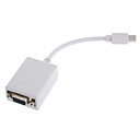 Mini Displayport M�le Vers Vga Femelle (1080p)