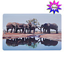 De Carte Usb 2.0 Disque Branch� En Forme (4 Go)