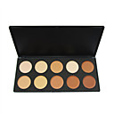 10 Couleurs De La Palette Professionnelle De Couverture En Poudre Pro (yy091-1027)