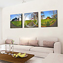 Horloge Affiche Sans Triptyque Cadre Photo (0752-cp-t3092)
