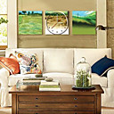 Horloge Affiche Sans Triptyque Cadre Photo (0752-cp-t3061)