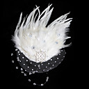 Plumes Magnifiques / Strass / Coiffe De Mariage Net De Mari�e / Bandeau (0498-2079)