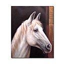 Tendu La Main Peinture � Cheval Animal Blanc (0250-ch-72)