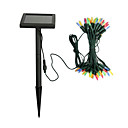 Couleur De La Lumi�re Solaire Cordes Dirig� (50 Gla�on)-m�lange (1049-cis-19051m)