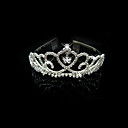 Gorgeous Clear Crystals Wedding Bridal Tiara