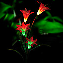 Luz Solar Flor Llev� (1049-cis-28078)