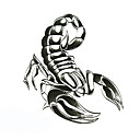 5 Pcs Scorpion Waterproof Temporary TattooFree Gifts