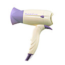 220V DX-1200A1 Owlce Fashion Hair Driver