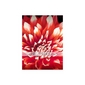 10 Inch HD Touchscreen Android 2.1 Tablet with WiFi (1GHZ Processor)