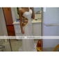 Sheath/ Column One Shoulder Floor-length Chiffon Over Elastic Woven Satin Evening Dress
