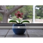 solar de plantas de flor powered flip flap