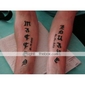 rotative tatouage liner / shader (ly-rt002)