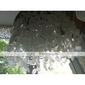 White Shell + Crystal Flush Mount (Chrome Finish)