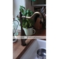 Sprinkle® - von lightinthebox - antique inspirierte Küchenarmatur (Messing antik finish)