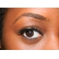 Long, Curved Fashion Lashes With Added Volume 1088# - 10 Pairs Per Box