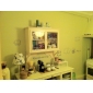 's Ochtends decoratieve muur sticker (0565-1105056)