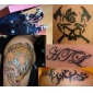 professionelle tatovering maskine kits afsluttede sæt med 4 tatovering maskingeværer