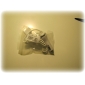 Cargador de coche para Apple iPad (blanco)