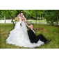 Ball Gown High Neck Chapel Train Organza Tiered Wedding Gown