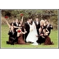 Empire Halter Floor-length Chiffon Bridesmaid Dress