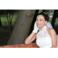 Ball Gown High Neck Chapel Train Organza Tiered Wedding Gown