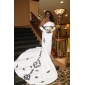Taffeta Strapless Trumpet Wedding Dresses with Beaded Lace