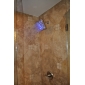 8 inch Brass Shower Head with Color Changing LED Light