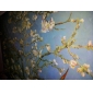 Dipinti a mano olio pittura rami di un mandorlo in fiore di Van Gogh Paesaggio
