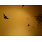 Birds and Trees in Spring Wall Stickers (1985-P27)