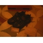 Bergsteigen Wandern Klettern Gummischuhe Schuhe Wanderschuhe