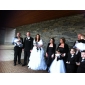 A-line Princess Sweetheart Strapless Floor-length Organza Wedding Dress 