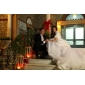 Ball Gown Sweetheart Chapel Train Taffeta Pick-Ups Wedding Dress