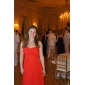 Sheath/Column Sweetheart Watteau Train Chiffon Over Stretch Satin Evening Dress 