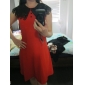 TS Two-tone Collar Dress (More Colors)