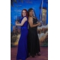 Chiffon Sheath/ Column Jewel Floor-length Evening Dress inspired by Christina Hendricks at Emmy Award