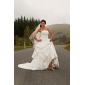 Strapless Sweetheart Taffeta Pick-up Wedding Dresses with Beaded Applique