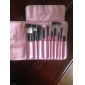 Color Shine-hoge kwaliteit wol borstel set (10st)