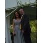Chiffon Sheath/Column V-neck Sweep Brush Train Evening Dress inspired by Michelle Trachtenberg