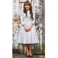 TS Wonderful Royal Style Dress