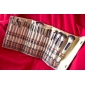 Professional Brush Set With Dark Lovely Pouch(20 Pcs)