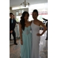 Chiffon Sheath/ Column One Shoulder Court Train Evening Dress inspired by Cat Deeley at Emmy Award
