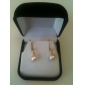 14k gold weiß 7,5 - 8mm aaaa Süßwasser-Zuchtperlen Ohrringe (dszz055)
