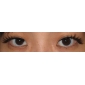 mode cils fx - 10 paires de style lady gaga (jjm001)
