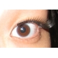 Fashion Lashes - 50 Pairs False Eyelash Mixes Style